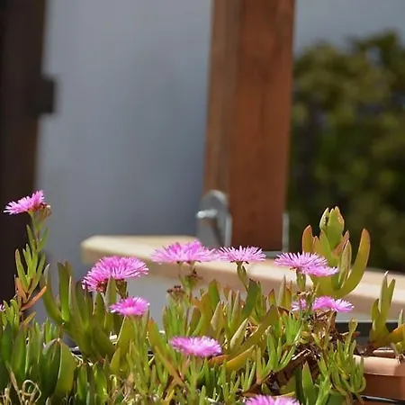 Casa Ambra 3* Macari