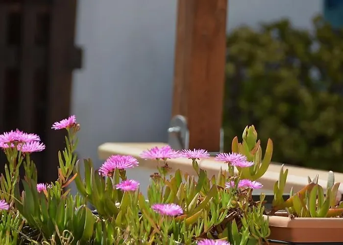 Casa Ambra 3* Macari